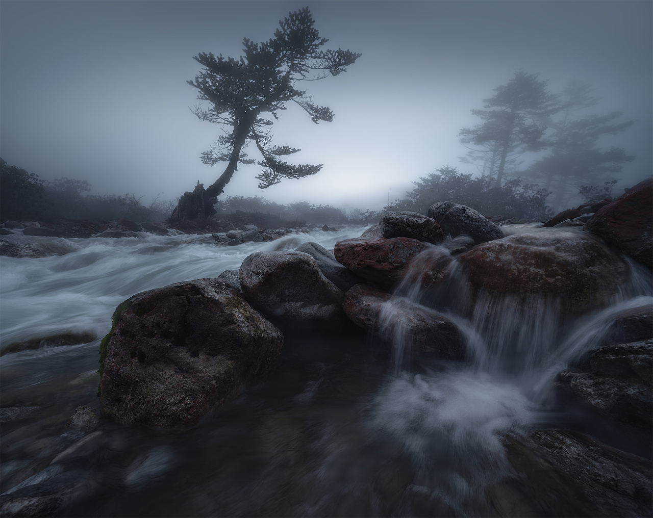 九條貓須的個(gè)人主頁(yè)（封面預(yù)覽） - 主頁(yè)封面設(shè)置 - 站酷設(shè)計(jì)師九條貓須原創(chuàng)素材 - 站酷ZCOOL