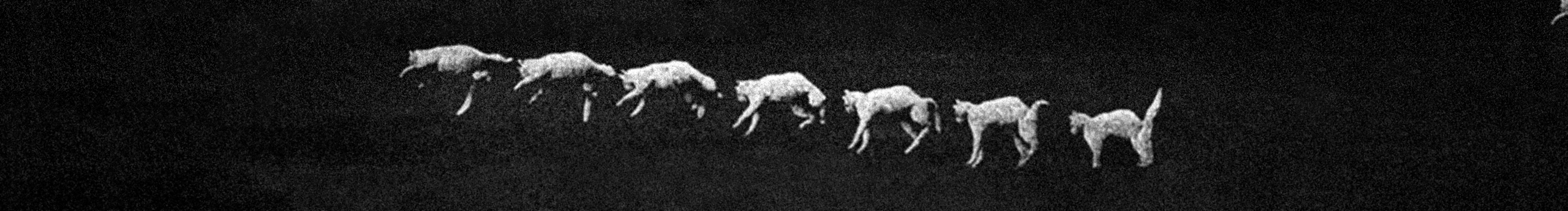 布魯斯蓋伊的個(gè)人主頁(yè)（封面預(yù)覽） - 主頁(yè)封面設(shè)置 - 站酷設(shè)計(jì)師布魯斯蓋伊原創(chuàng)素材 - 站酷ZCOOL