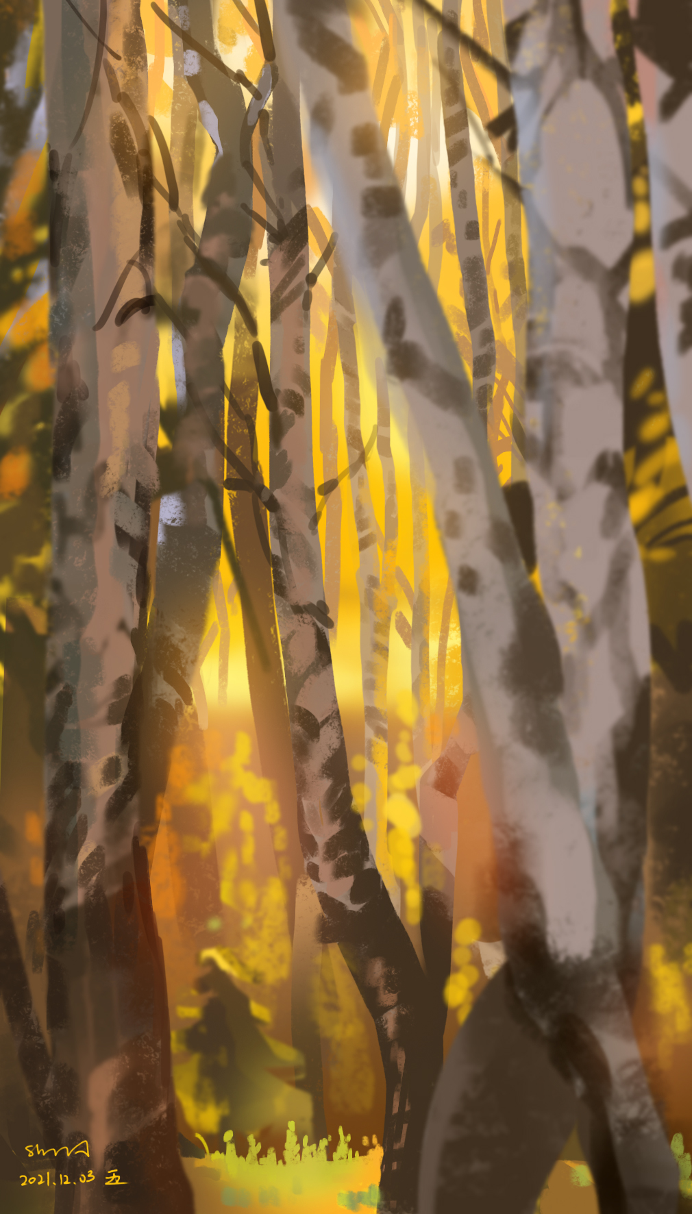 声sheng的个人主页（封面预览） - 主页封面设置 - 站酷设计师声sheng原创素材 - 站酷ZCOOL