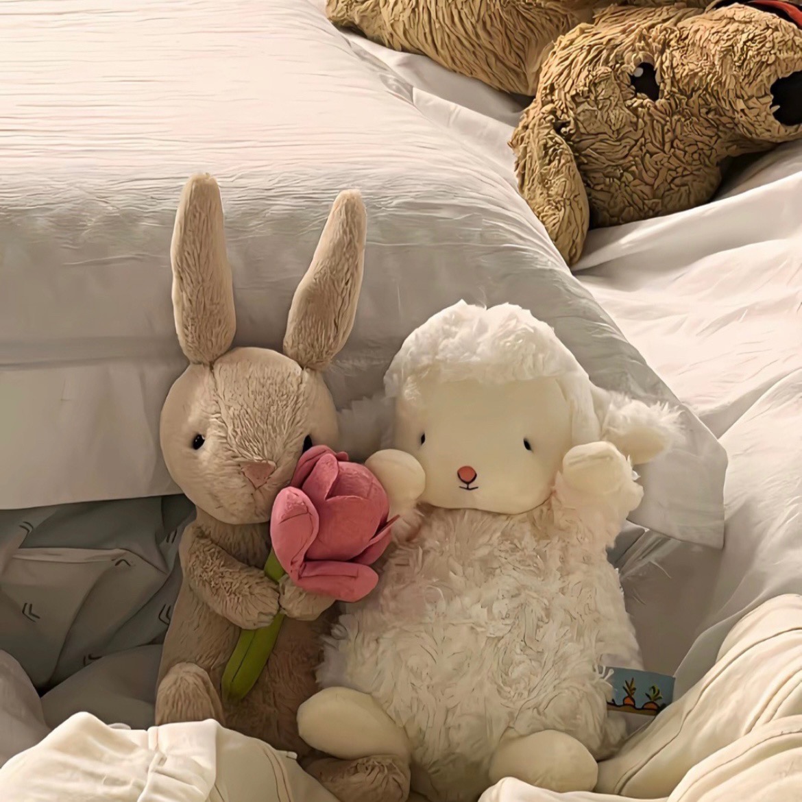 JiangchengG的個人主頁（封面預覽） - 主頁封面設置 - 站酷設計師JiangchengG原創(chuàng)素材 - 站酷ZCOOL