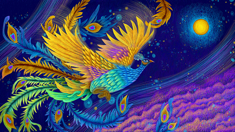 花语_Sunny的个人主页（封面预览） - 主页封面设置 - 站酷设计师花语_Sunny原创素材 - 站酷ZCOOL