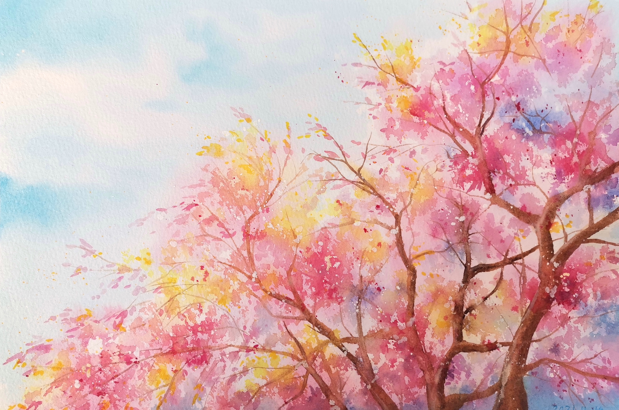 畫畫的陸柒的個人主頁（封面預(yù)覽） - 主頁封面設(shè)置 - 站酷設(shè)計師畫畫的陸柒原創(chuàng)素材 - 站酷ZCOOL