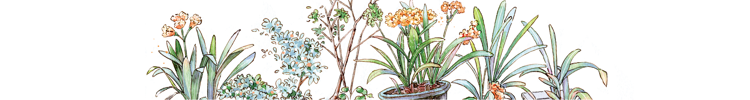 六月简简的个人主页（封面预览） - 主页封面设置 - 站酷设计师六月简简原创素材 - 站酷ZCOOL