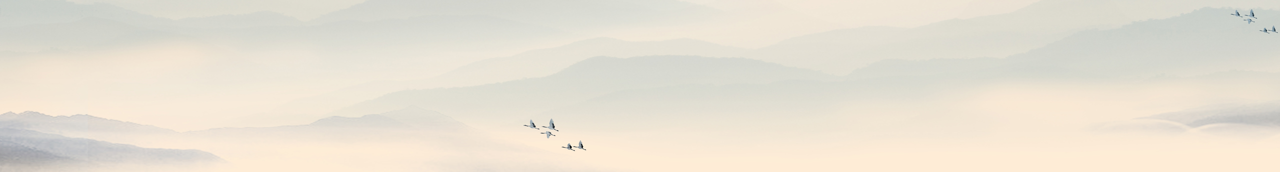 DH皮卡丘的個(gè)人主頁（封面預(yù)覽） - 主頁封面設(shè)置 - 站酷設(shè)計(jì)師DH皮卡丘原創(chuàng)素材 - 站酷ZCOOL