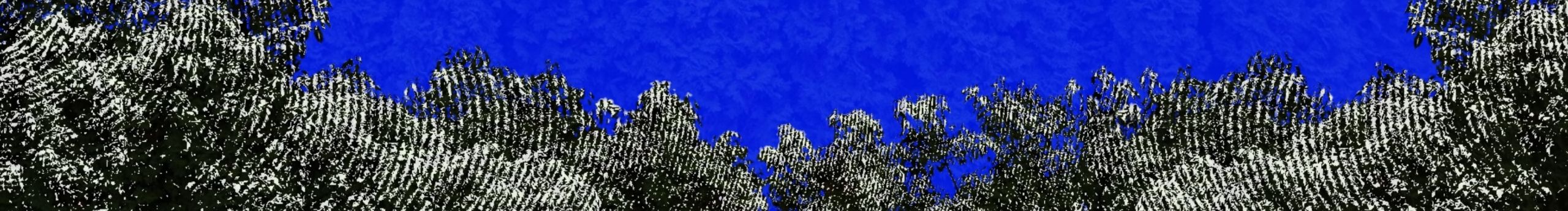 潘笑卓的個(gè)人主頁(yè)（封面預(yù)覽） - 主頁(yè)封面設(shè)置 - 站酷設(shè)計(jì)師潘笑卓原創(chuàng)素材 - 站酷ZCOOL