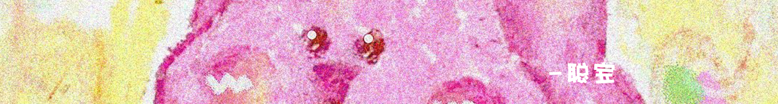 是聪宝呀的个人主页（封面预览） - 主页封面设置 - 站酷设计师是聪宝呀原创素材 - 站酷ZCOOL