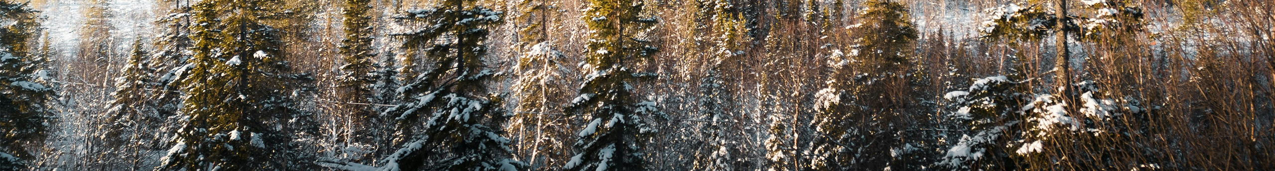 咆哮兔i的个人主页（封面预览） - 主页封面设置 - 站酷设计师咆哮兔i原创素材 - 站酷ZCOOL