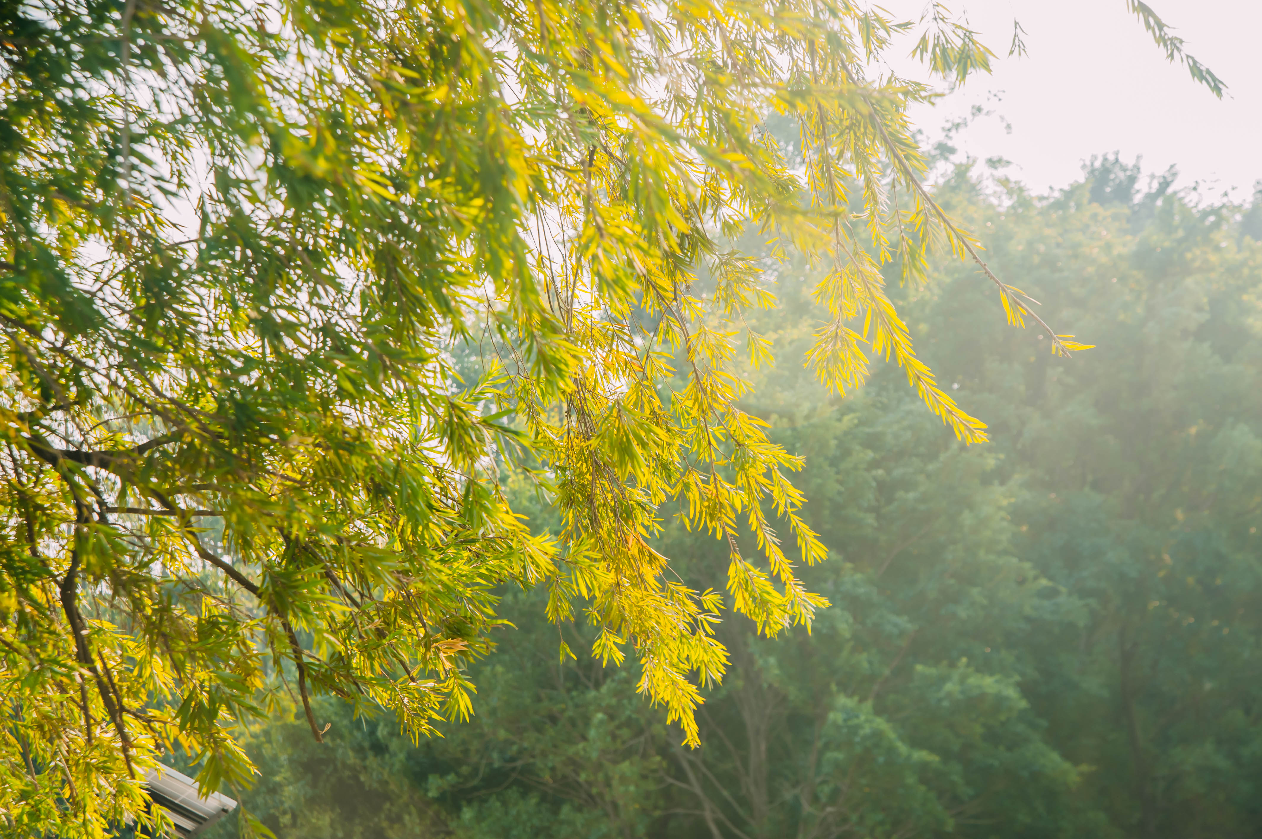 阿蒲窩的個(gè)人主頁(yè)（封面預(yù)覽） - 主頁(yè)封面設(shè)置 - 站酷設(shè)計(jì)師阿蒲窩原創(chuàng)素材 - 站酷ZCOOL