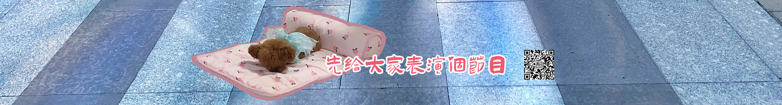 圆圆美的个人主页（封面预览） - 主页封面设置 - 站酷设计师圆圆美原创素材 - 站酷ZCOOL