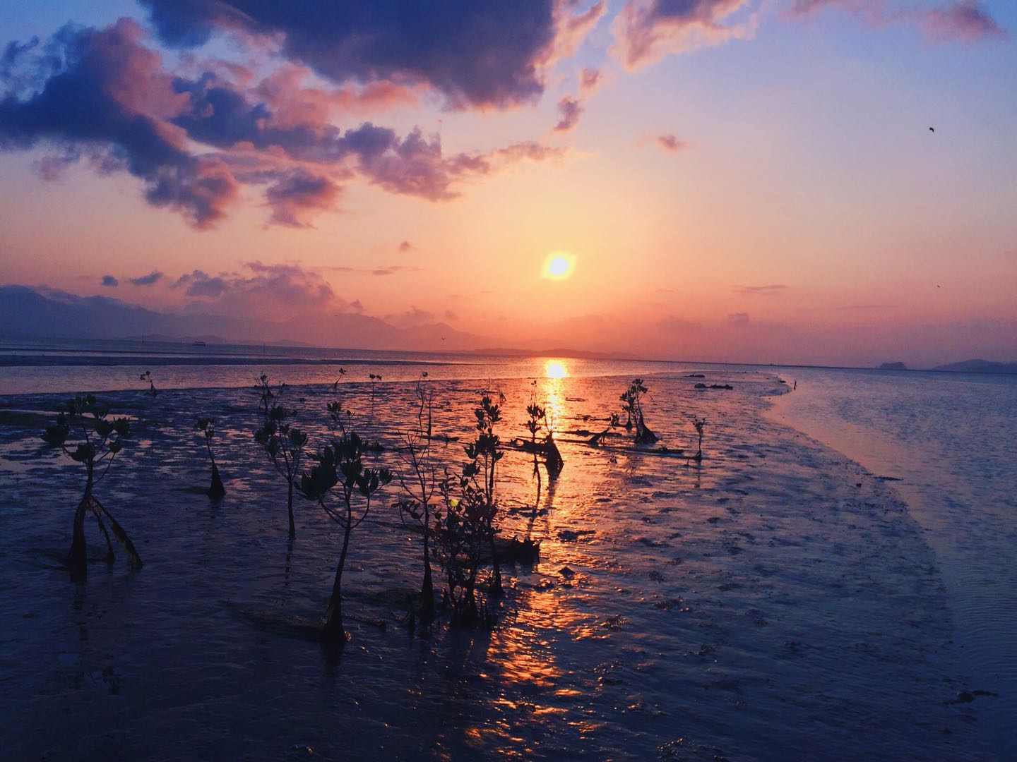 风之声晓君的个人主页（封面预览） - 主页封面设置 - 站酷设计师风之声晓君原创素材 - 站酷ZCOOL