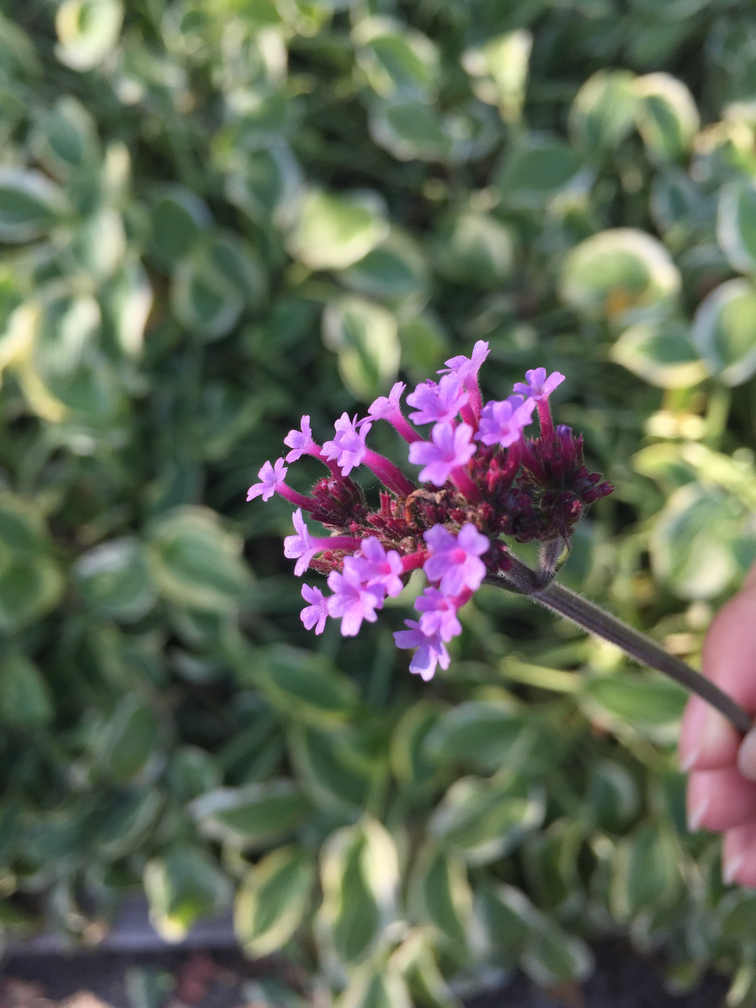 小小呆431的個(gè)人主頁（背景預(yù)覽） - 主頁背景設(shè)置 - 站酷設(shè)計(jì)師小小呆431原創(chuàng)素材 - 站酷ZCOOL