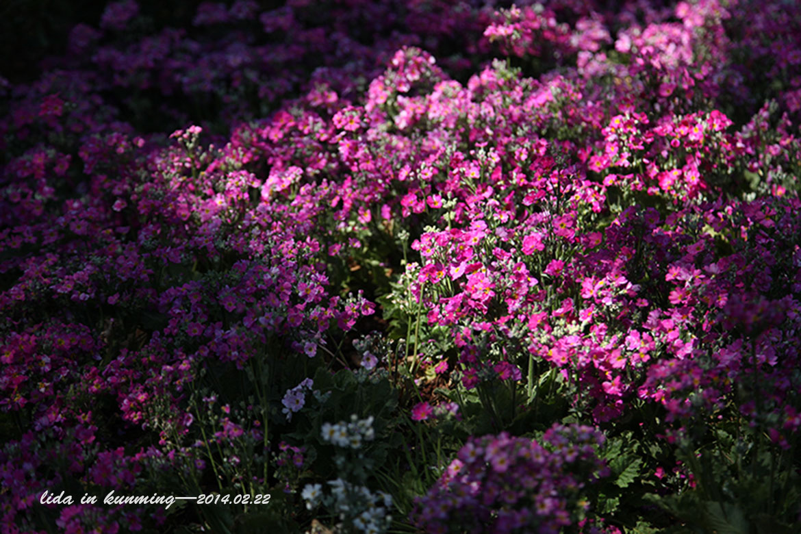 失眠的插畫師達(dá)達(dá)的個人主頁（背景預(yù)覽） - 主頁背景設(shè)置 - 站酷設(shè)計師失眠的插畫師達(dá)達(dá)原創(chuàng)素材 - 站酷ZCOOL