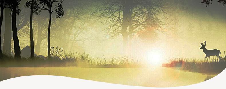 小嘛嘛的个人主页（背景预览） - 主页背景设置 - 站酷设计师小嘛嘛原创素材 - 站酷ZCOOL