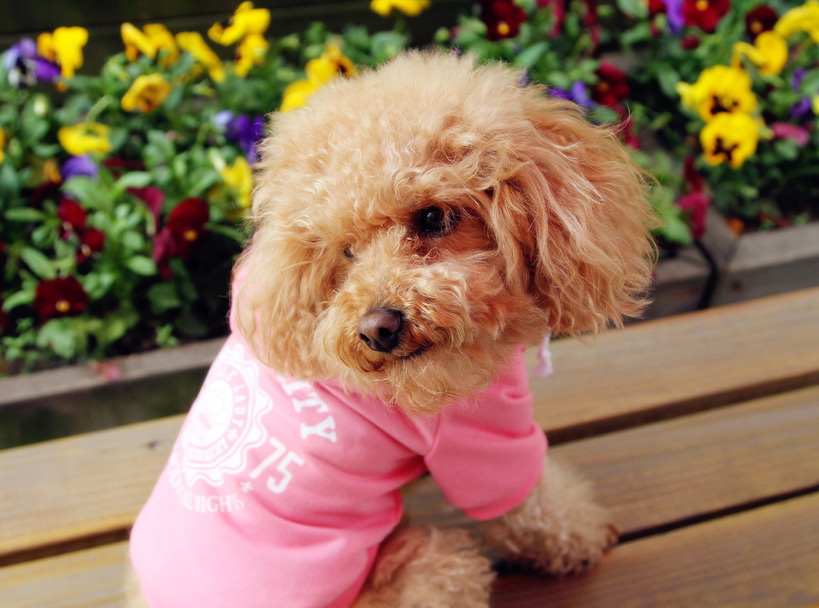 Candy0818的個人主頁（背景預(yù)覽） - 主頁背景設(shè)置 - 站酷設(shè)計師Candy0818原創(chuàng)素材 - 站酷ZCOOL