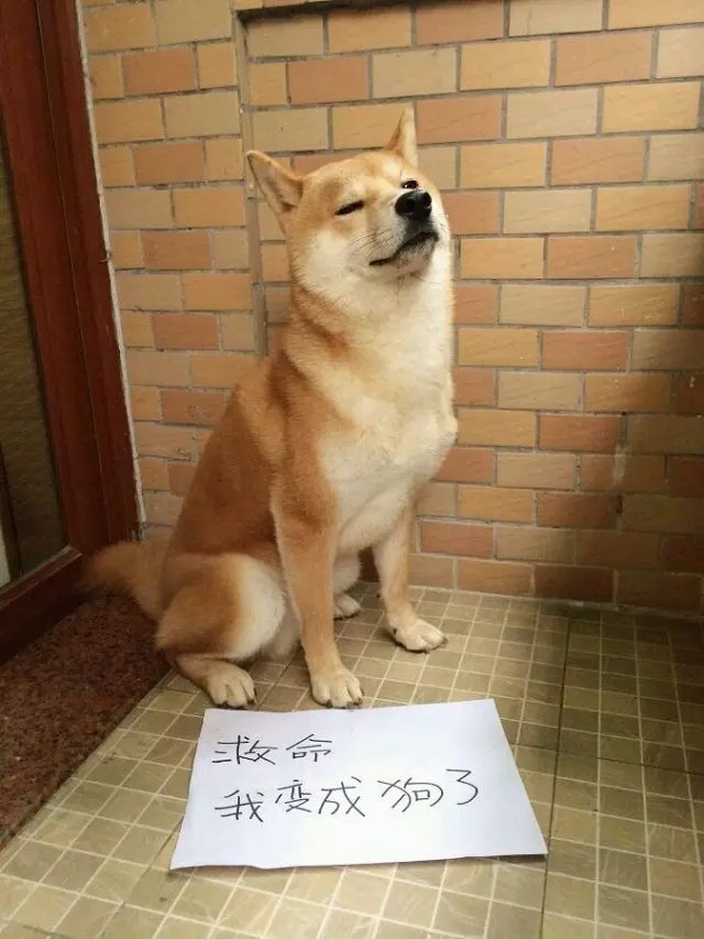 摄影师苏克的个人主页（背景预览） - 主页背景设置 - 站酷设计师摄影师苏克原创素材 - 站酷ZCOOL