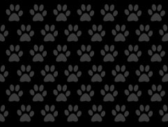 elensen的个人主页（背景预览） - 主页背景设置 - 站酷设计师elensen原创素材 - 站酷ZCOOL