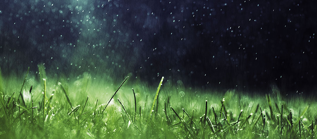 放羊的小猴子的個人主頁（背景預覽） - 主頁背景設置 - 站酷設計師放羊的小猴子原創(chuàng)素材 - 站酷ZCOOL