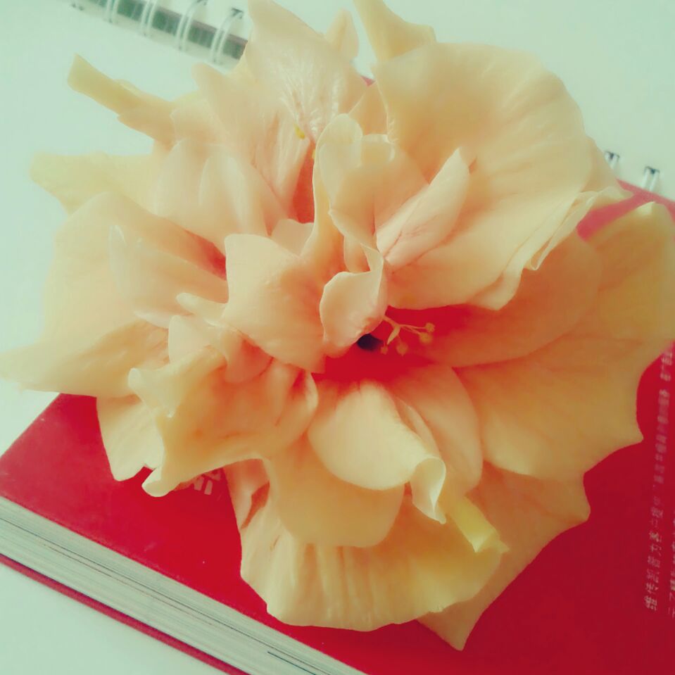 二七水的个人主页（背景预览） - 主页背景设置 - 站酷设计师二七水原创素材 - 站酷ZCOOL