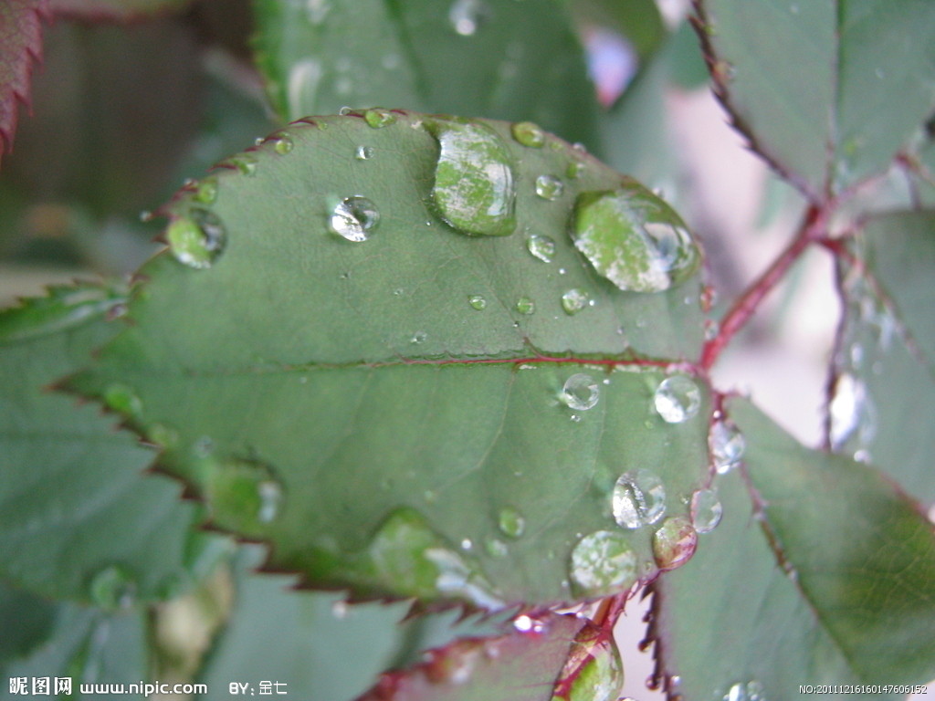 木易杏子的个人主页（背景预览） - 主页背景设置 - 站酷设计师木易杏子原创素材 - 站酷ZCOOL