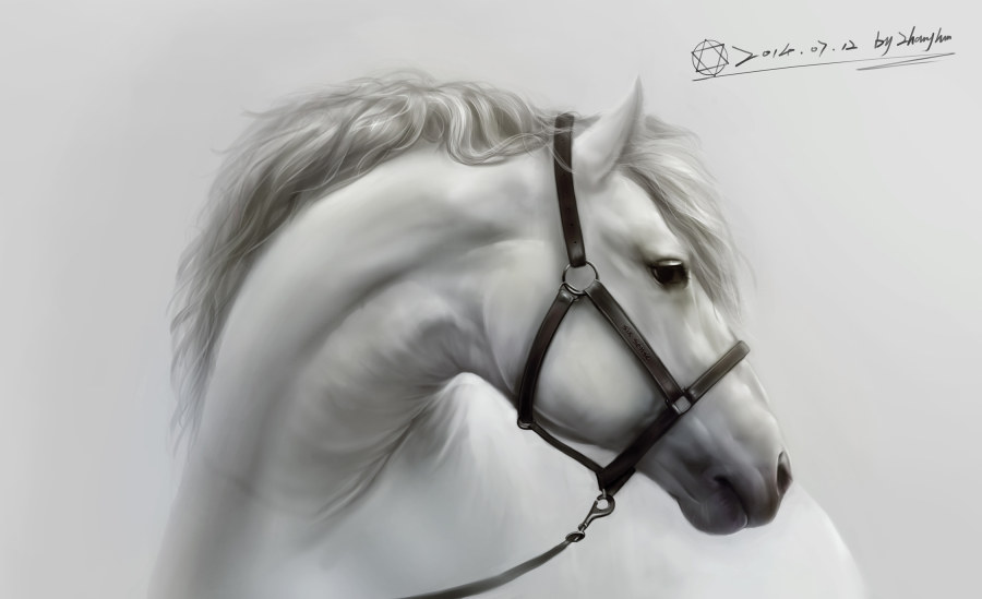 鯨悄悄Jamber的個人主頁（背景預(yù)覽） - 主頁背景設(shè)置 - 站酷設(shè)計師鯨悄悄Jamber原創(chuàng)素材 - 站酷ZCOOL