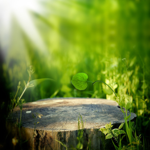 22嘻嘻的个人主页（背景预览） - 主页背景设置 - 站酷设计师22嘻嘻原创素材 - 站酷ZCOOL