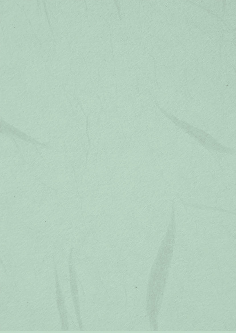 LynnTT的个人主页（背景预览） - 主页背景设置 - 站酷设计师LynnTT原创素材 - 站酷ZCOOL