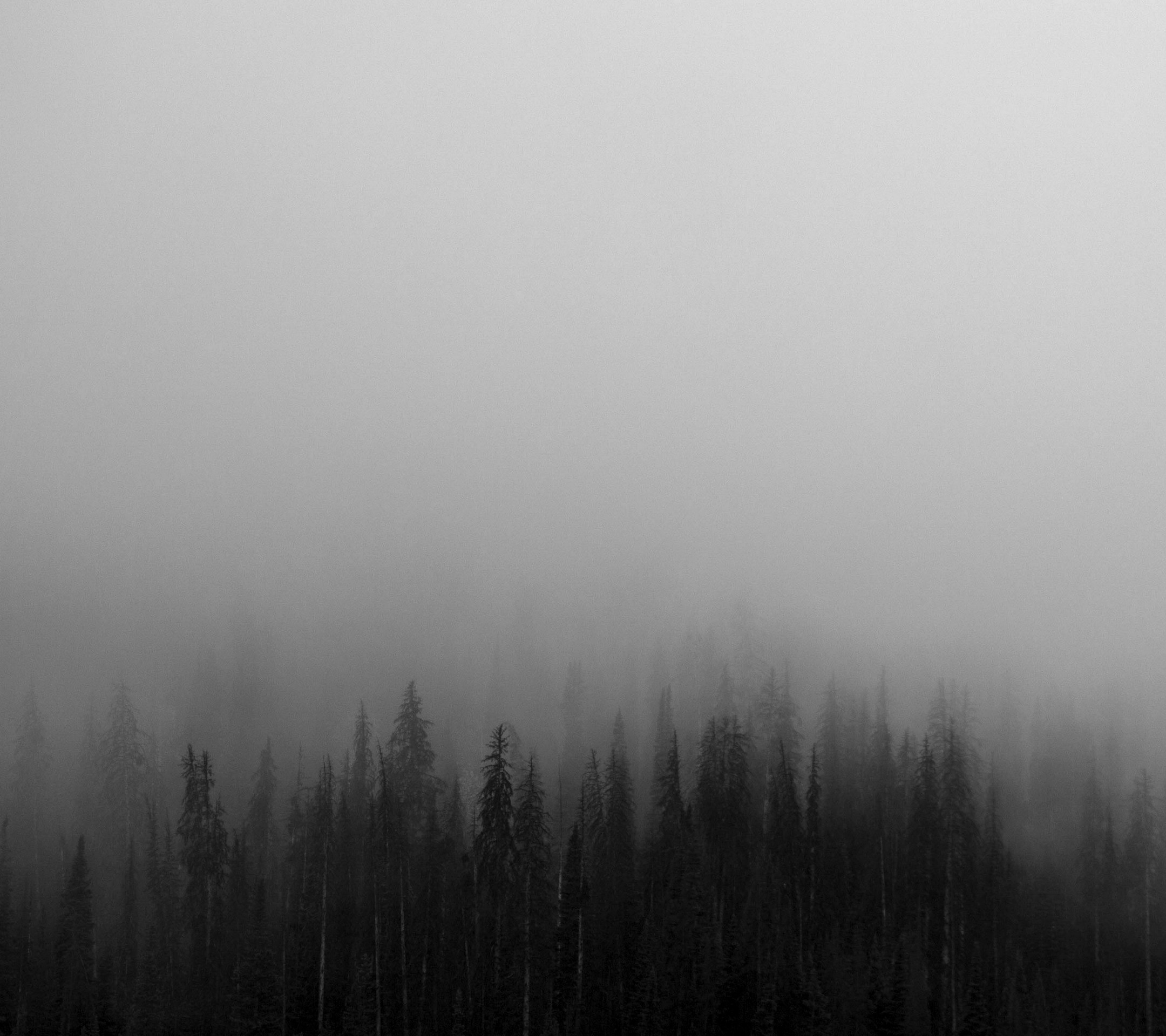 何醒醒的个人主页（背景预览） - 主页背景设置 - 站酷设计师何醒醒原创素材 - 站酷ZCOOL