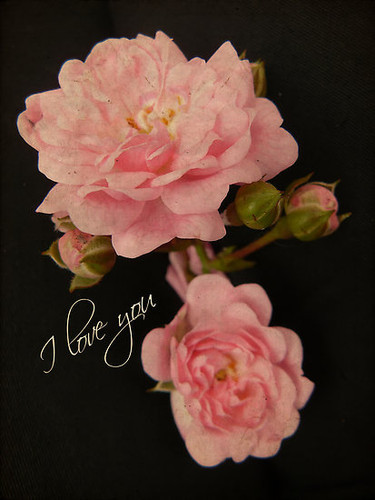 吃蛋糕昂的個人主頁（背景預覽） - 主頁背景設置 - 站酷設計師吃蛋糕昂原創(chuàng)素材 - 站酷ZCOOL