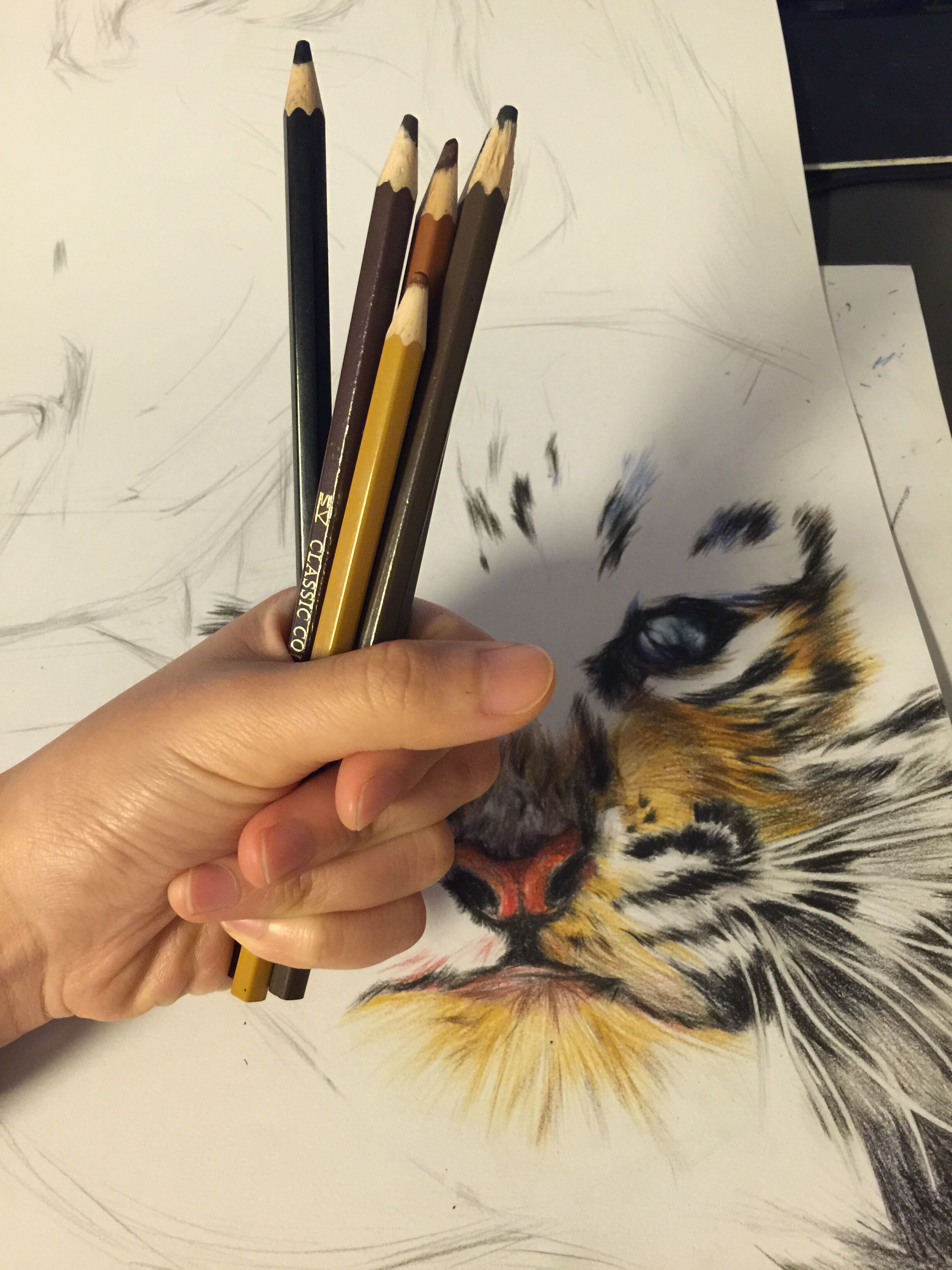 Draw_HY的个人主页（背景预览） - 主页背景设置 - 站酷设计师Draw_HY原创素材 - 站酷ZCOOL