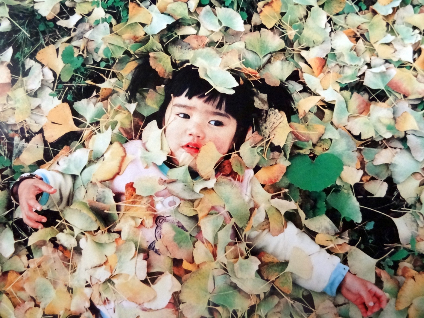 sweetty的个人主页（背景预览） - 主页背景设置 - 站酷设计师sweetty原创素材 - 站酷ZCOOL