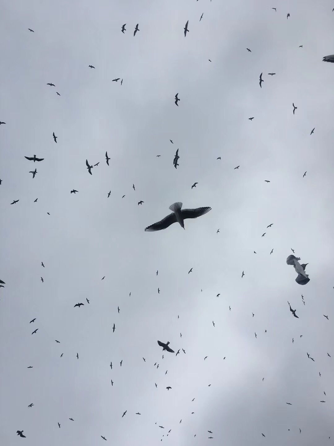 真善美設(shè)計的個人主頁（背景預覽） - 主頁背景設(shè)置 - 站酷設(shè)計師真善美設(shè)計原創(chuàng)素材 - 站酷ZCOOL