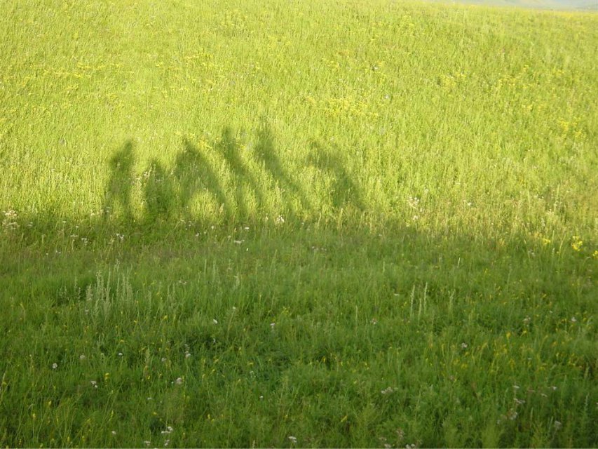 wuya7823的个人主页（背景预览） - 主页背景设置 - 站酷设计师wuya7823原创素材 - 站酷ZCOOL