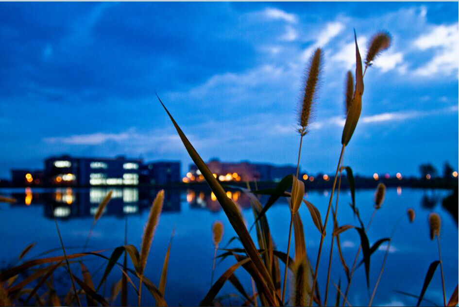 silend宋的個人主頁（背景預(yù)覽） - 主頁背景設(shè)置 - 站酷設(shè)計師silend宋原創(chuàng)素材 - 站酷ZCOOL