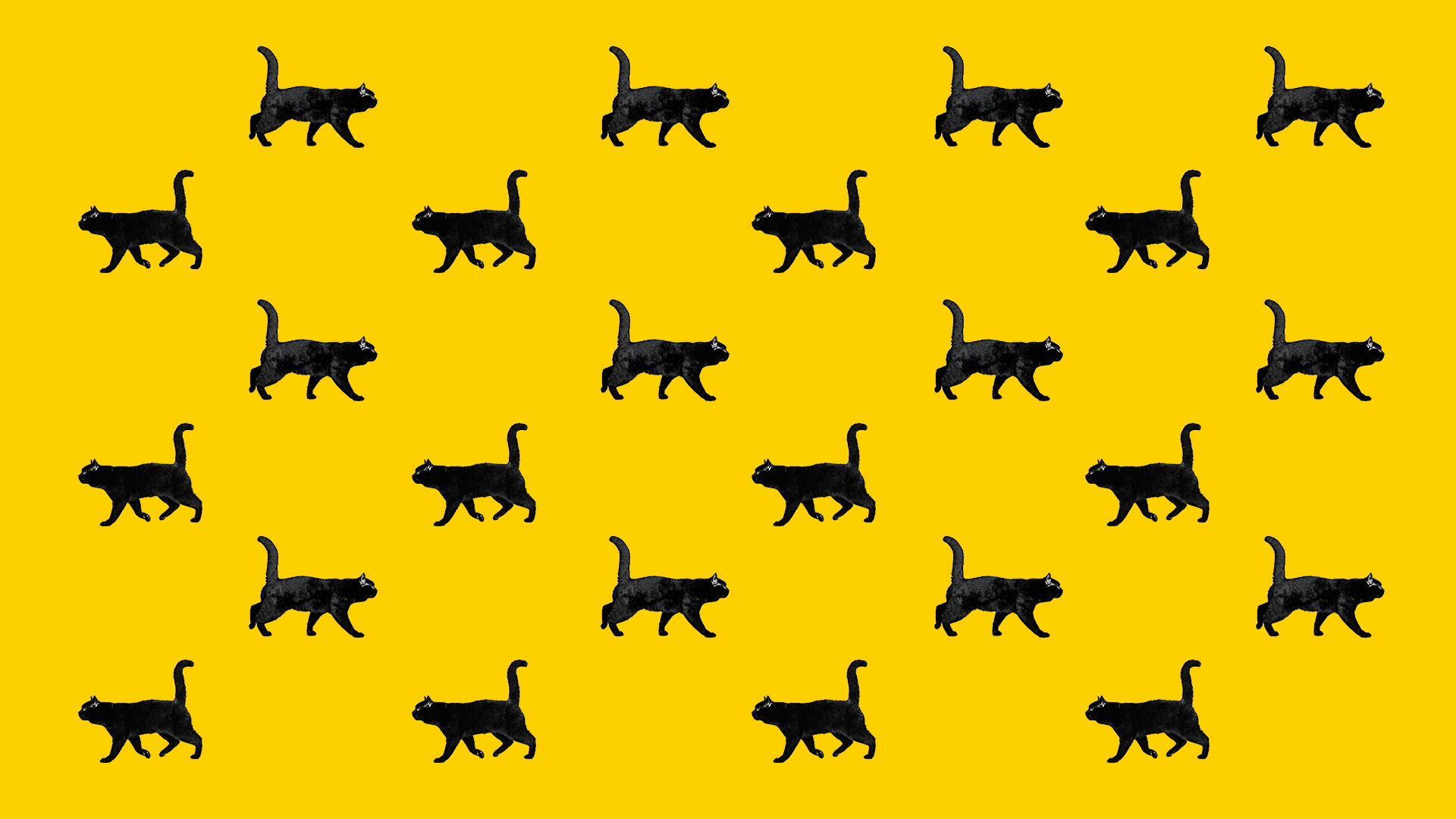 紅伊豆的個人主頁（背景預(yù)覽） - 主頁背景設(shè)置 - 站酷設(shè)計師紅伊豆原創(chuàng)素材 - 站酷ZCOOL