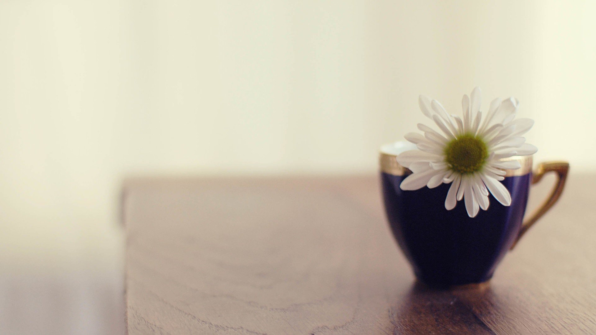 夏日花晟HC的個(gè)人主頁(yè)（背景預(yù)覽） - 主頁(yè)背景設(shè)置 - 站酷設(shè)計(jì)師夏日花晟HC原創(chuàng)素材 - 站酷ZCOOL