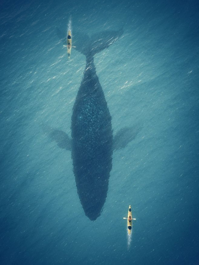 大餅油條國際范的個(gè)人主頁（背景預(yù)覽） - 主頁背景設(shè)置 - 站酷設(shè)計(jì)師大餅油條國際范原創(chuàng)素材 - 站酷ZCOOL