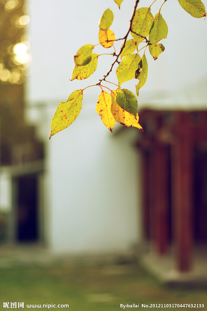 麻小花画画的个人主页（背景预览） - 主页背景设置 - 站酷设计师麻小花画画原创素材 - 站酷ZCOOL
