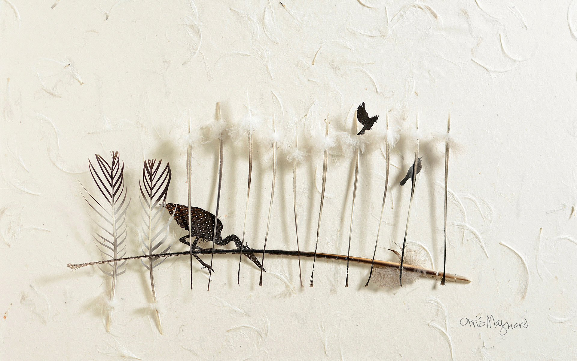 妙妙切克鬧的個人主頁（背景預(yù)覽） - 主頁背景設(shè)置 - 站酷設(shè)計師妙妙切克鬧原創(chuàng)素材 - 站酷ZCOOL