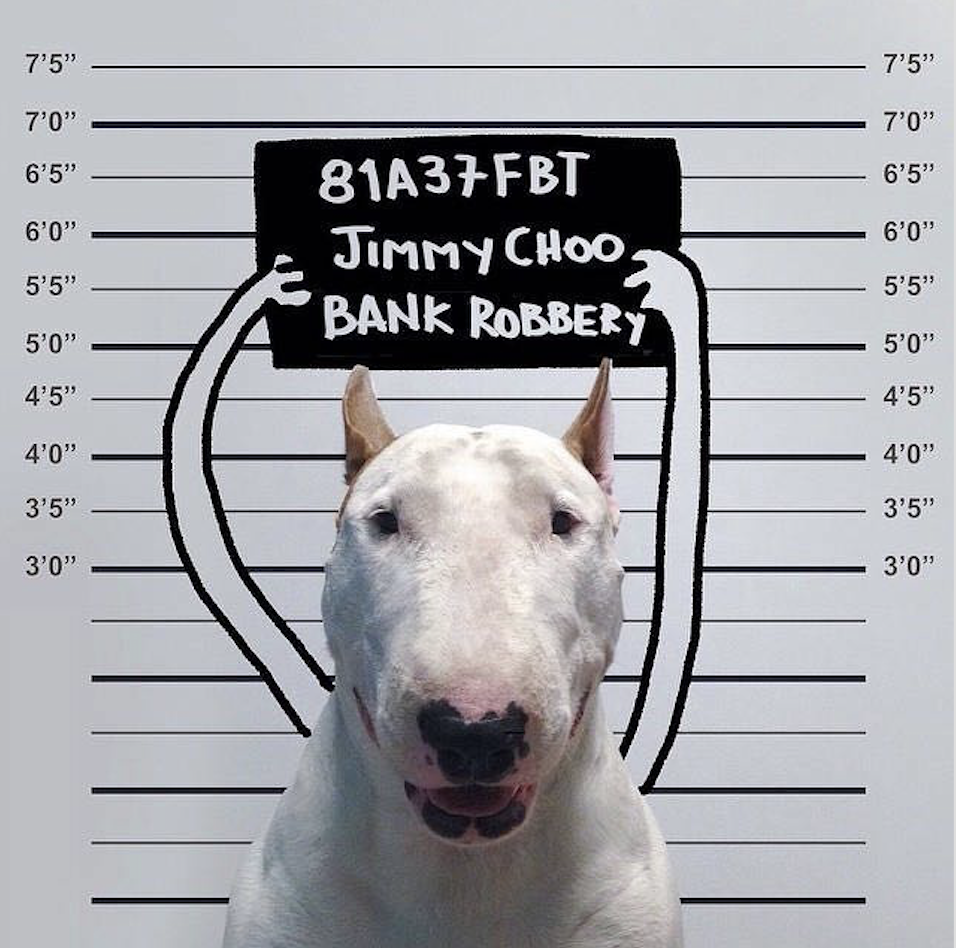 叼着奶嘴闲逛cool的个人主页（背景预览） - 主页背景设置 - 站酷设计师叼着奶嘴闲逛cool原创素材 - 站酷ZCOOL