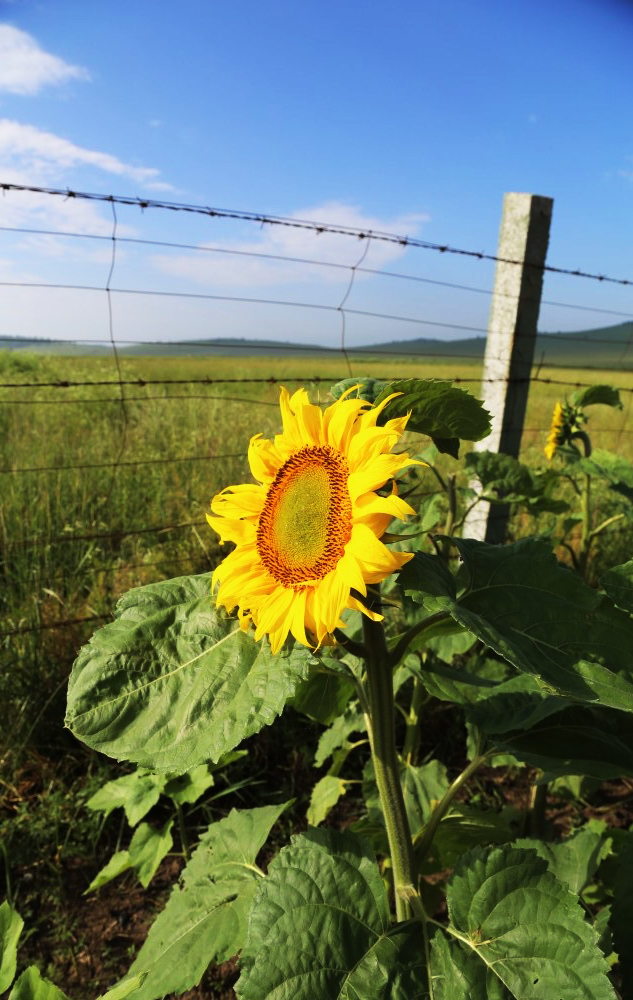行走的音符的个人主页（背景预览） - 主页背景设置 - 站酷设计师行走的音符原创素材 - 站酷ZCOOL