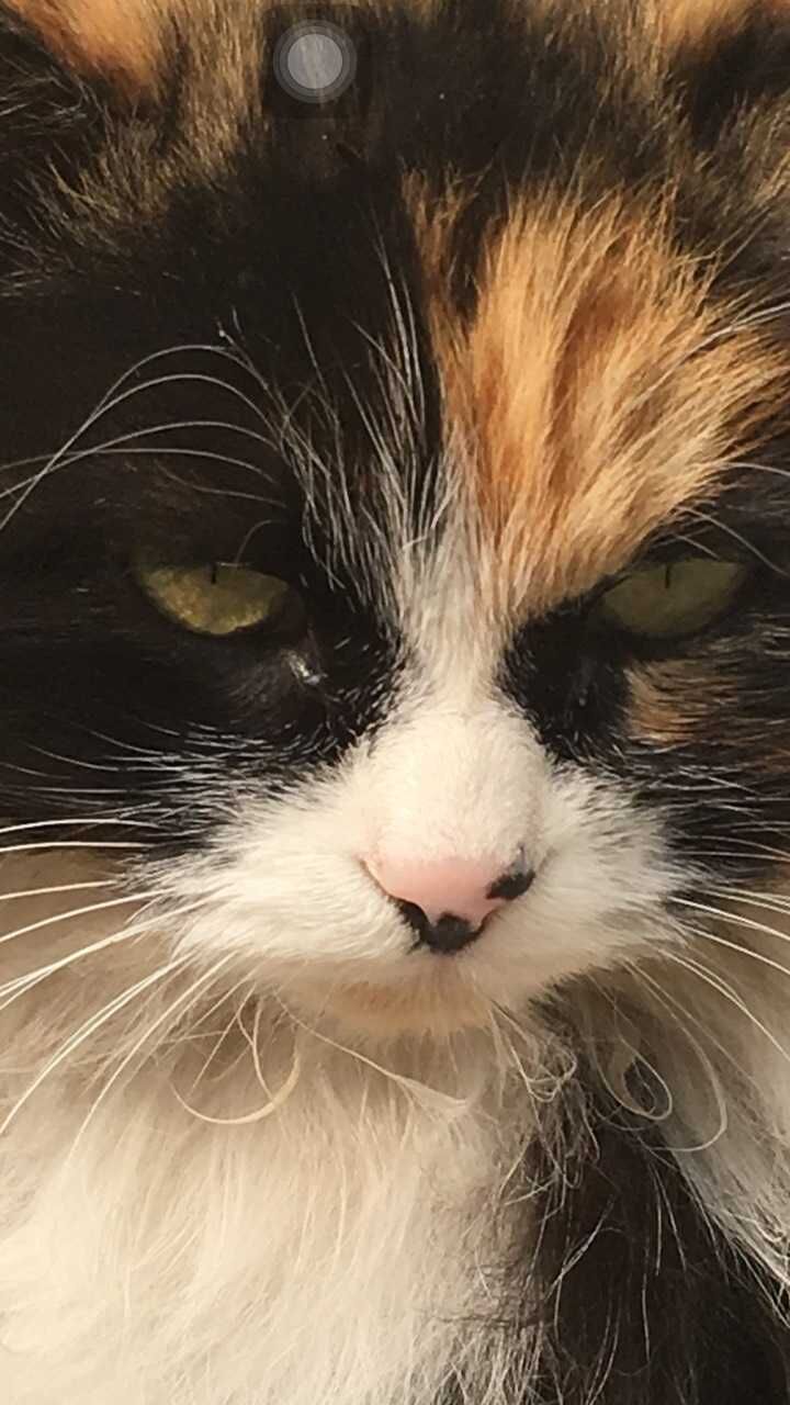 框框553981363的個人主頁（背景預(yù)覽） - 主頁背景設(shè)置 - 站酷設(shè)計師框框553981363原創(chuàng)素材 - 站酷ZCOOL