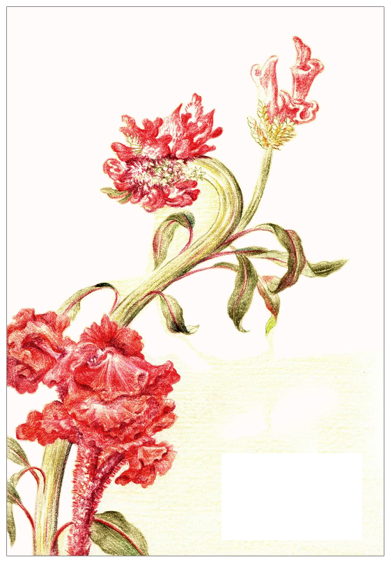 南塘秋的個人主頁（背景預(yù)覽） - 主頁背景設(shè)置 - 站酷設(shè)計師南塘秋原創(chuàng)素材 - 站酷ZCOOL