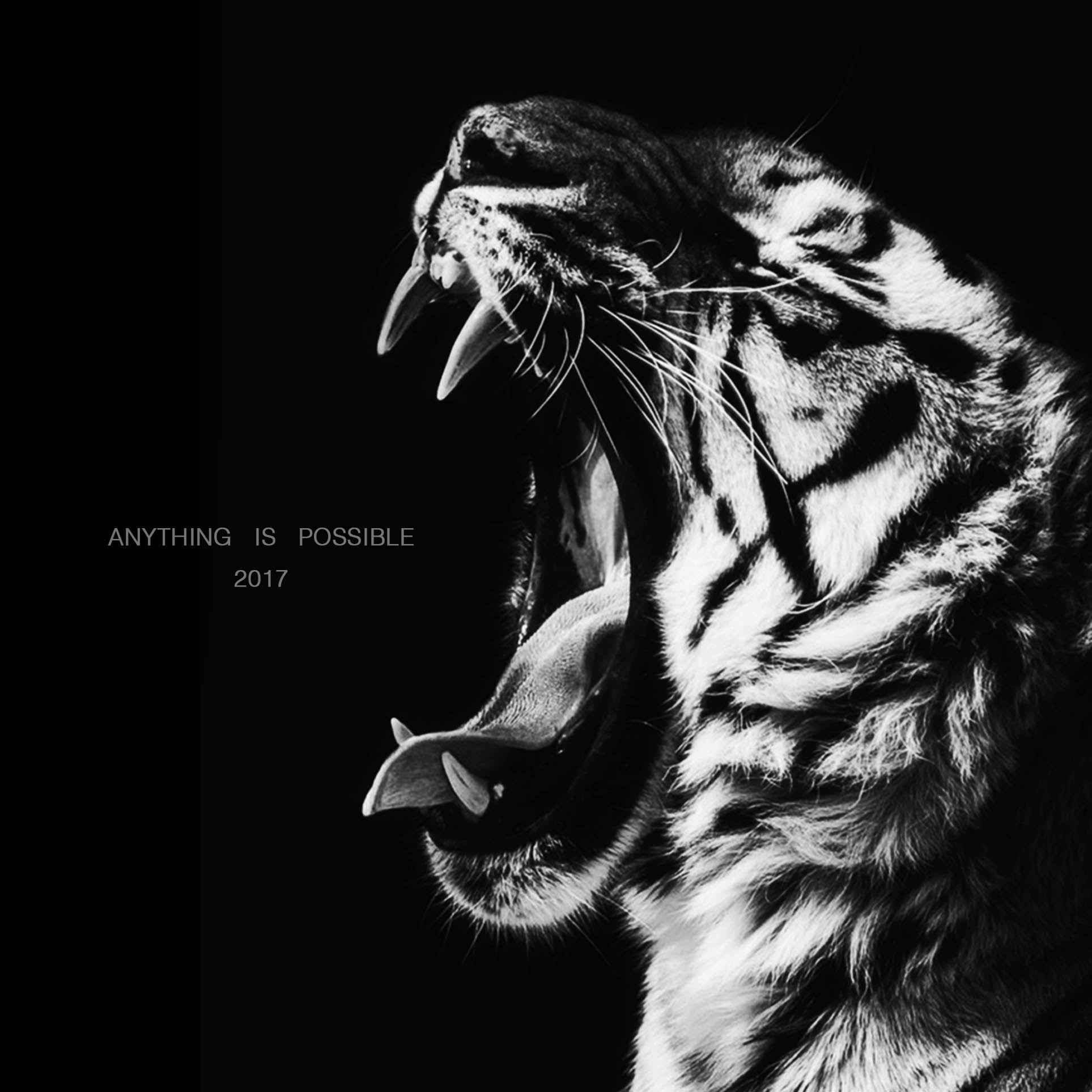 冯迟允的个人主页（背景预览） - 主页背景设置 - 站酷设计师冯迟允原创素材 - 站酷ZCOOL