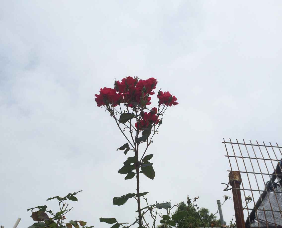 大門不出二門不邁的個(gè)人主頁（背景預(yù)覽） - 主頁背景設(shè)置 - 站酷設(shè)計(jì)師大門不出二門不邁原創(chuàng)素材 - 站酷ZCOOL