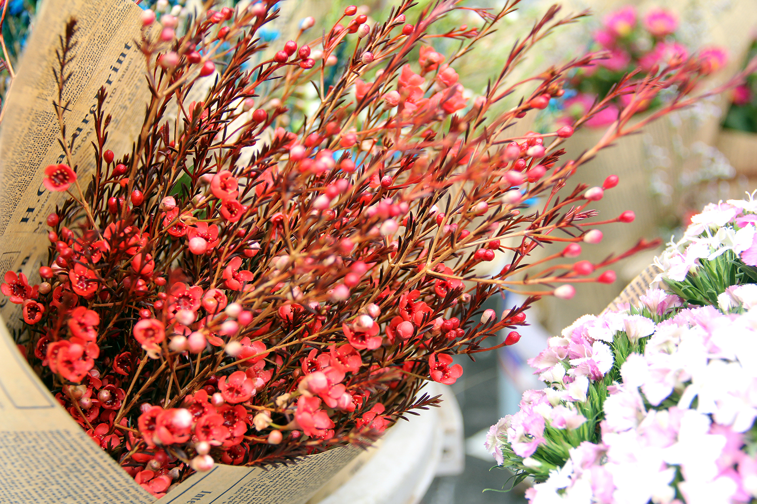 美食攝影師法蘭克的個(gè)人主頁(yè)（背景預(yù)覽） - 主頁(yè)背景設(shè)置 - 站酷設(shè)計(jì)師美食攝影師法蘭克原創(chuàng)素材 - 站酷ZCOOL