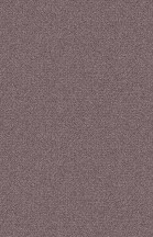 Takira塔树拉的个人主页（背景预览） - 主页背景设置 - 站酷设计师Takira塔树拉原创素材 - 站酷ZCOOL