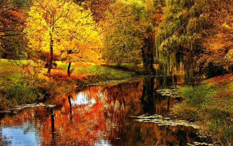 看淡ren是非的个人主页（背景预览） - 主页背景设置 - 站酷设计师看淡ren是非原创素材 - 站酷ZCOOL