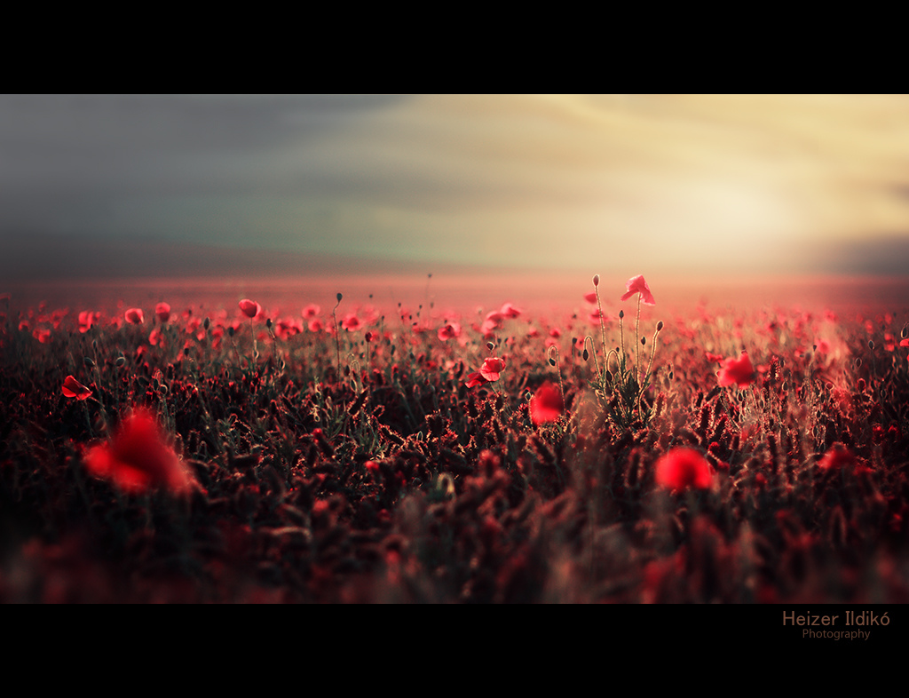 最初的自己的个人主页（背景预览） - 主页背景设置 - 站酷设计师最初的自己原创素材 - 站酷ZCOOL