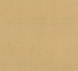 Biscuit_B的個(gè)人主頁(yè)（背景預(yù)覽） - 主頁(yè)背景設(shè)置 - 站酷設(shè)計(jì)師Biscuit_B原創(chuàng)素材 - 站酷ZCOOL