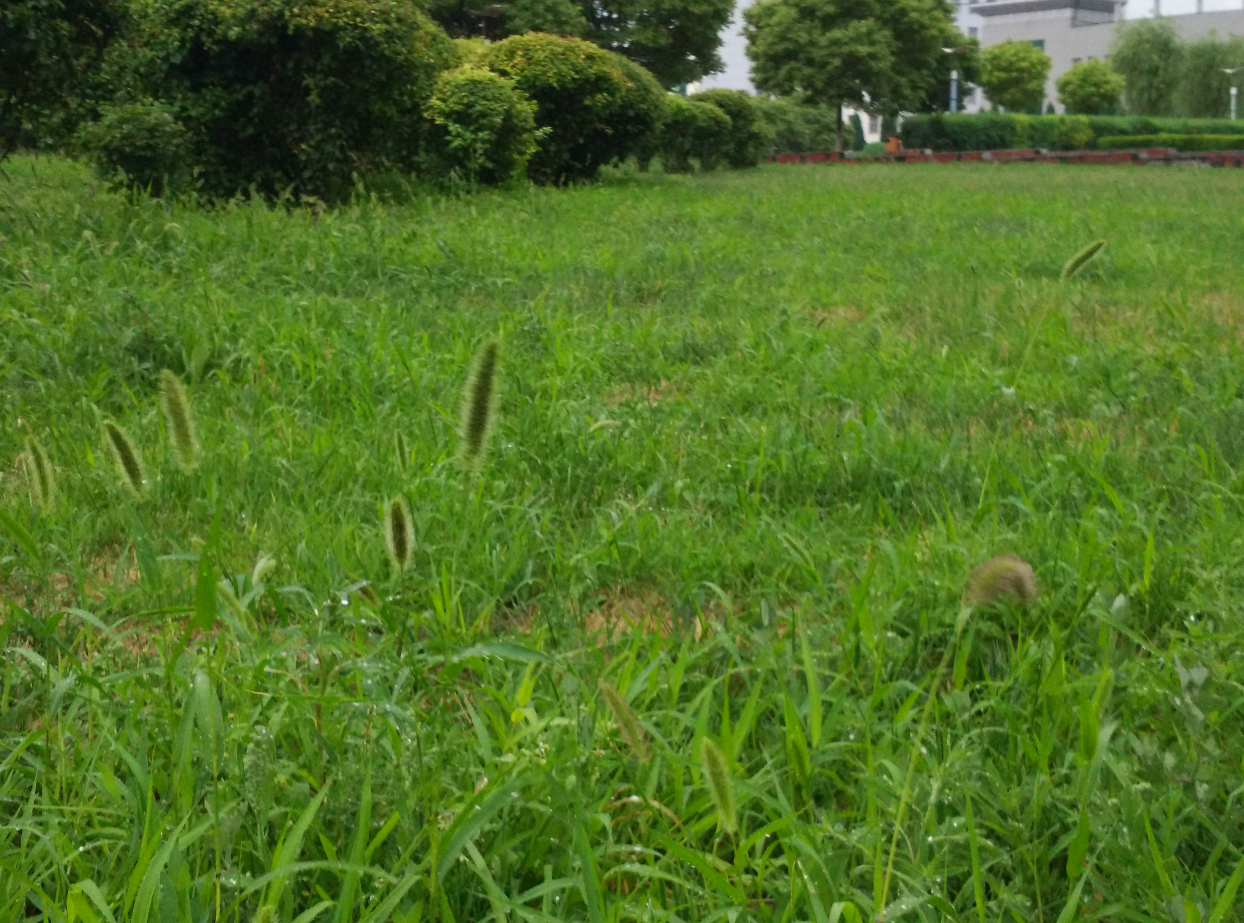 可亻氏的個(gè)人主頁（背景預(yù)覽） - 主頁背景設(shè)置 - 站酷設(shè)計(jì)師可亻氏原創(chuàng)素材 - 站酷ZCOOL